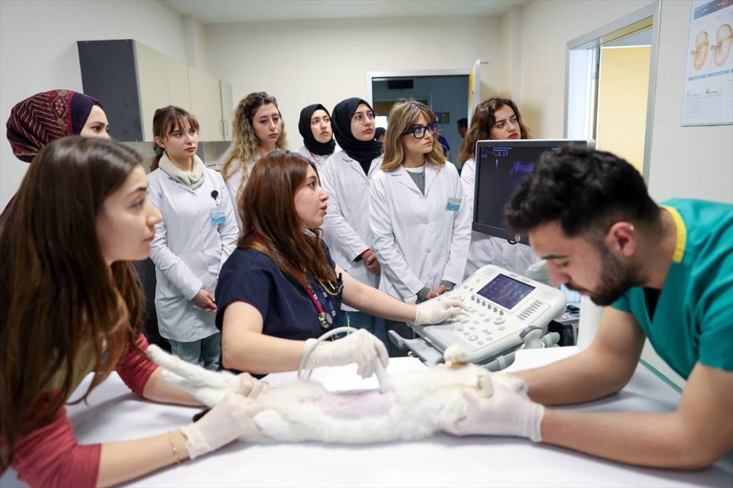 Selçuk Üniversitesi sektörde en çok aranan isimleri yetiştiriyor 5
